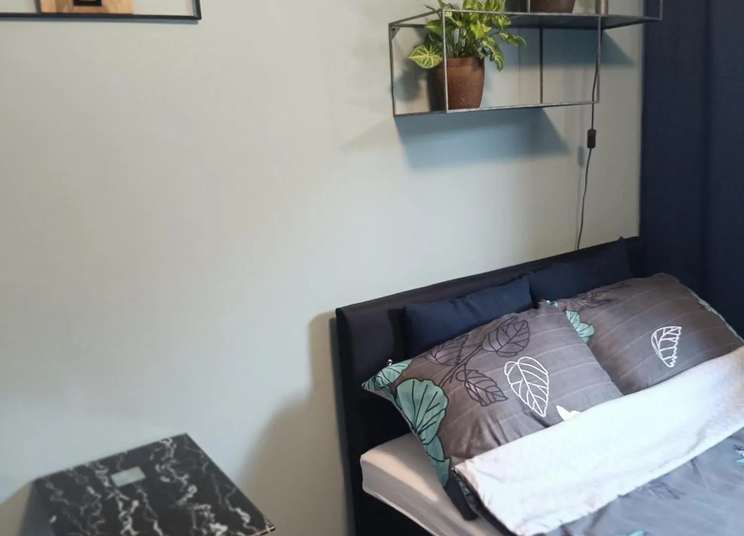 Apartament Magnolia Warszawa